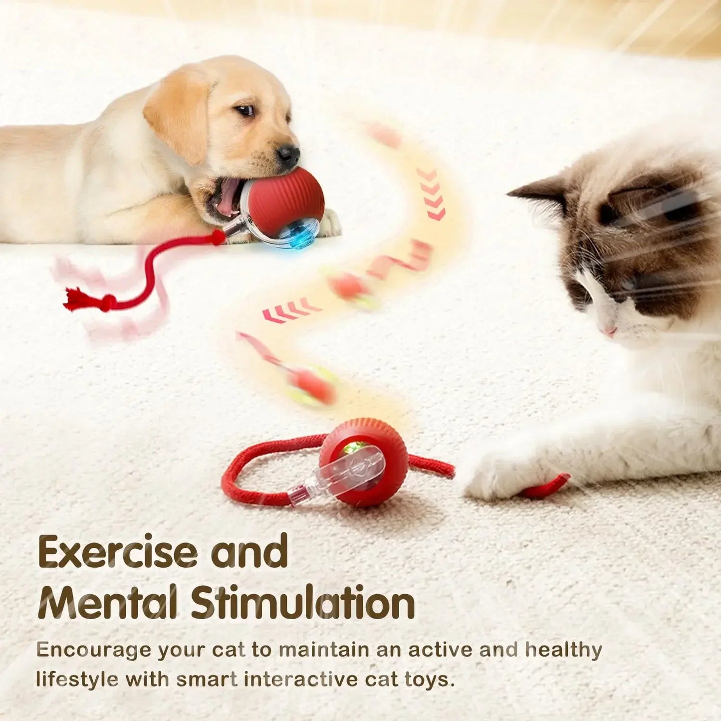 Interactive Cat Ball Toy – Automatic Rolling & Rechargeable