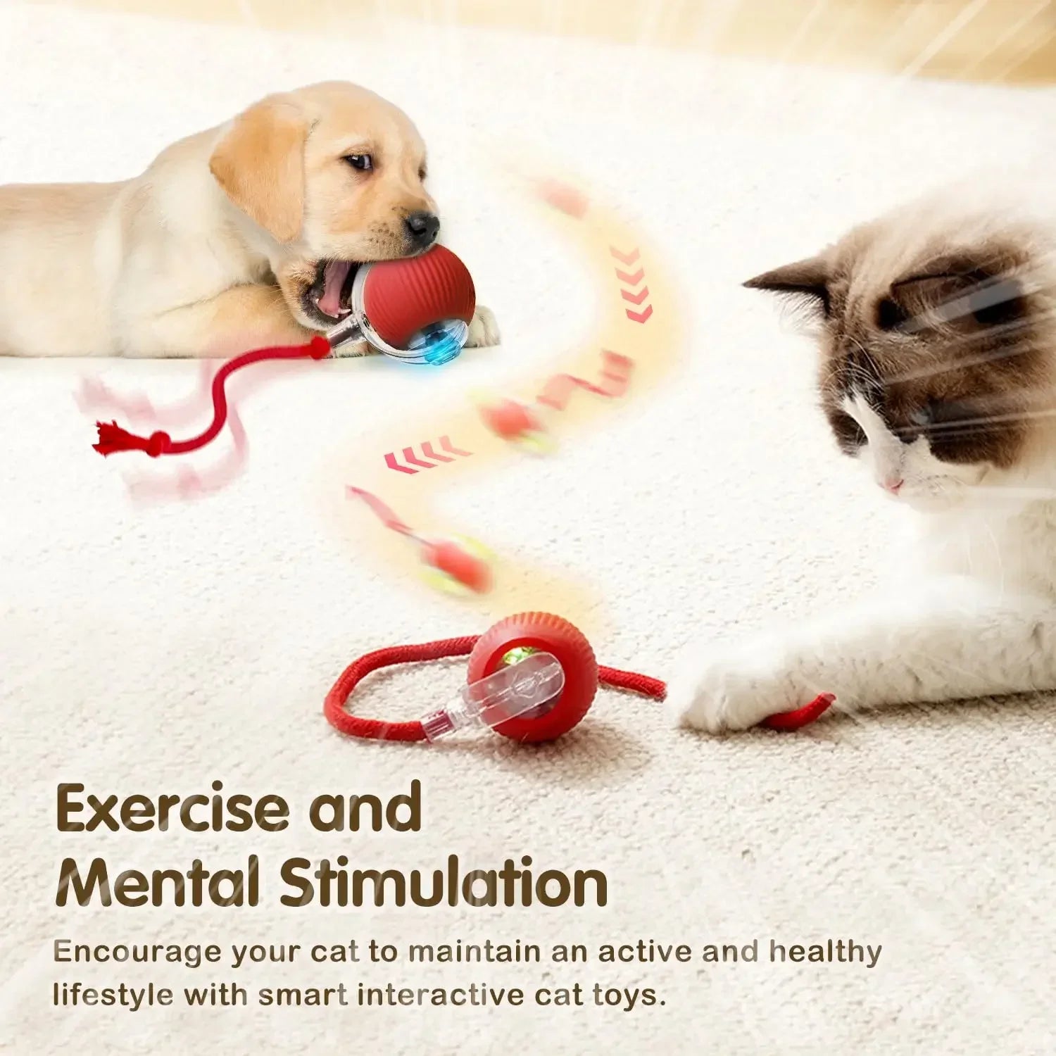 Interactive Cat Ball Toy – Automatic Rolling & Rechargeable