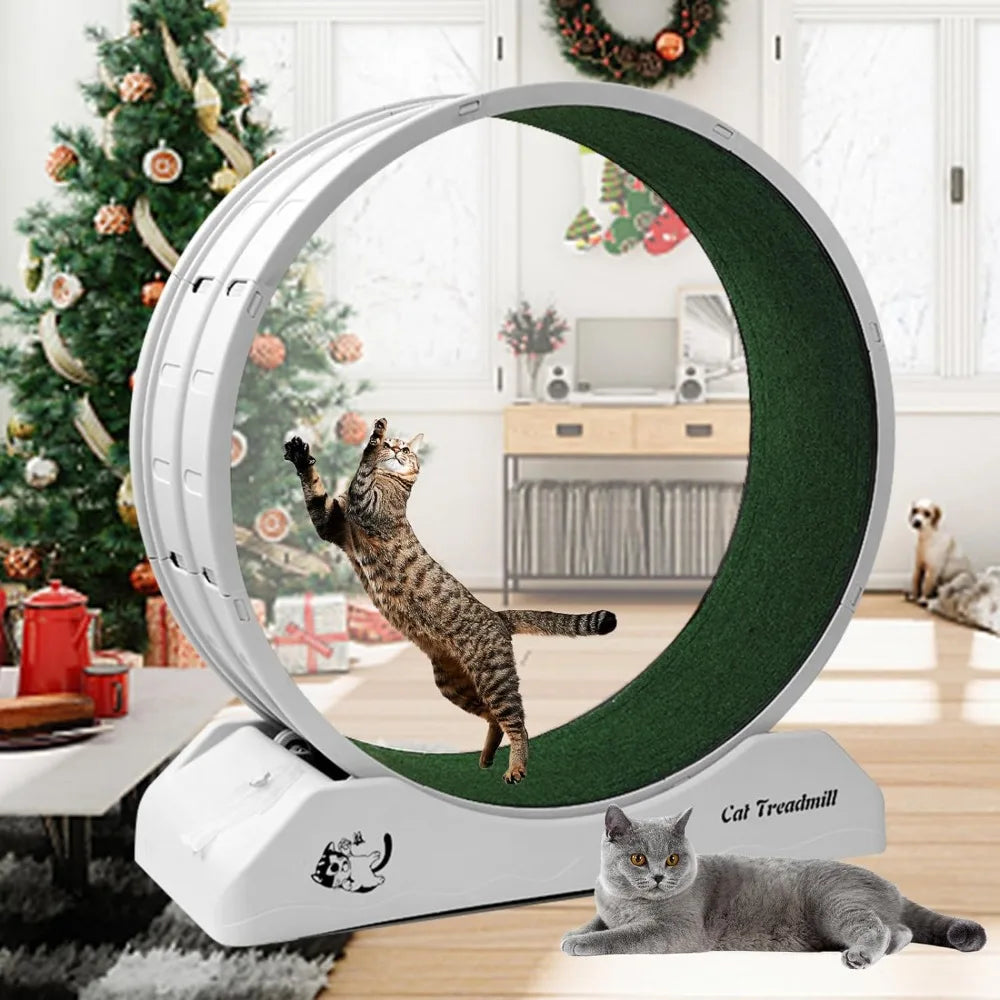 Cat Treadmill Wheel Exerciser 