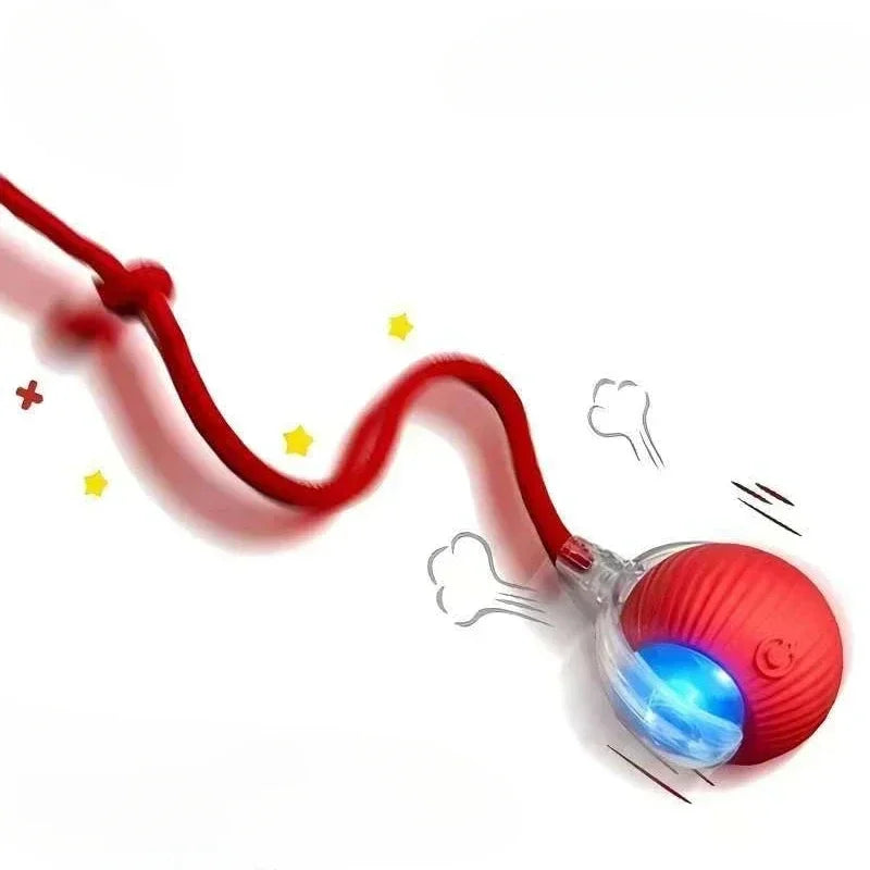 Interactive Cat Ball Toy – Automatic Rolling & Rechargeable