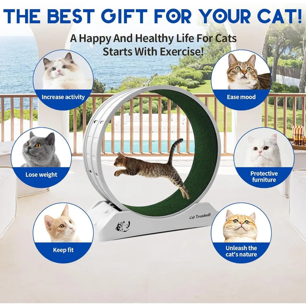 Cat Treadmill Wheel Exerciser 